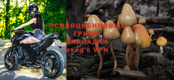а пвп мука Медвежьегорск