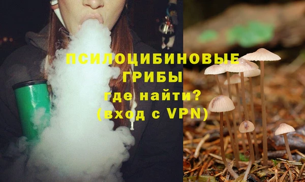 а пвп мука Медвежьегорск