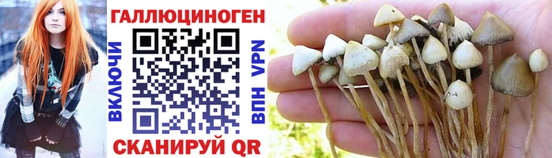 Купить  Салехард  Псилоцибиновые грибы прущие грибы 